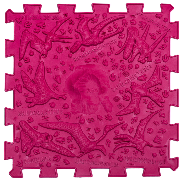 ptahozavry-700x700-1.png ptahozavry-700x700-1.png