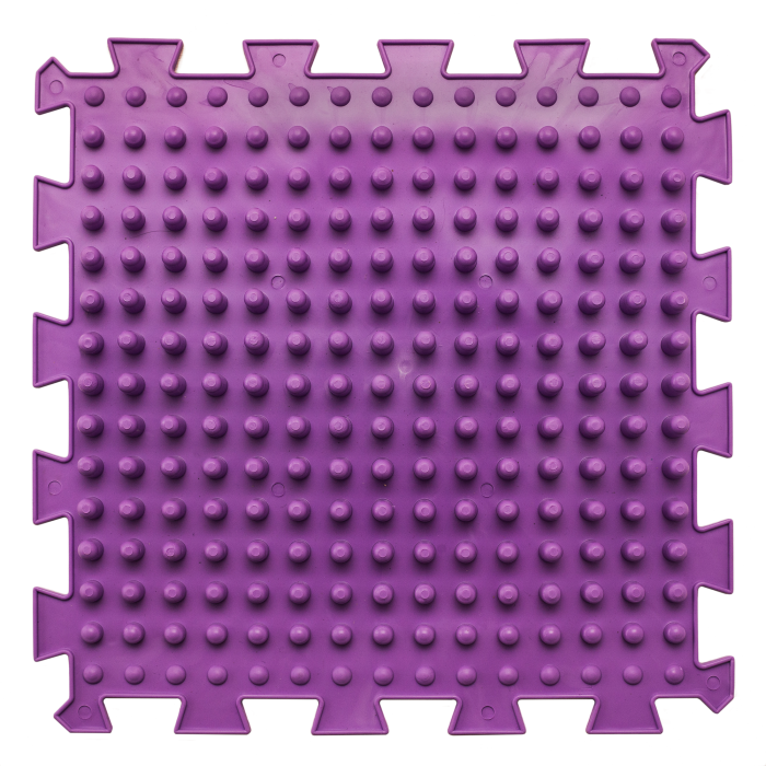 shipy_purp-700x700-1.png